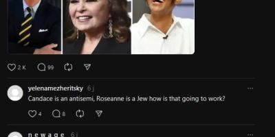 ABC did not announce new show