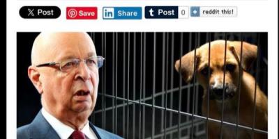 World Economic Forum Called for Slaughter of Pets