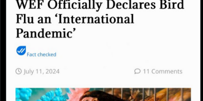 wef international pandemic