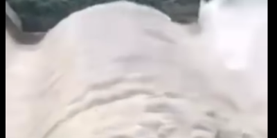 Andhra Pradesh shared