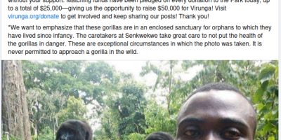 Anti-Poaching Ranger Took Selfie