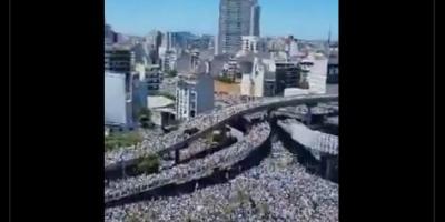 Argentina fans celebrating World Cup