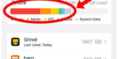 Complaining of 'Gay Agenda'