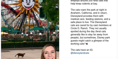 Control Rodent Population