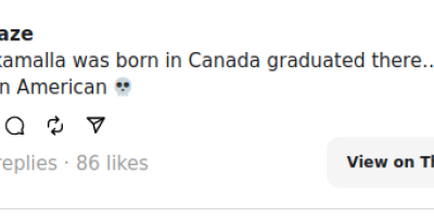 Harris raised $310 million for her 2024 presidential campaign in July 2024, according to Politico. Harris launched her campaign after President Joe Biden announced he’d be exiting the race, the outlet reported.