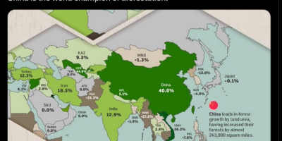 No Country in History Has Ever Planted as Many Trees as China
