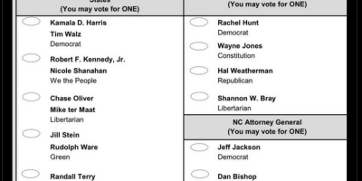 attempt at voter manipulation