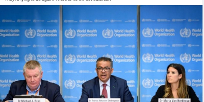 mpox ‘mega lockdowns’