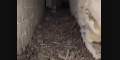 tunnel under ex-Bangladesh Prime Minister