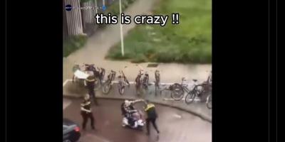 video from the Netherlands