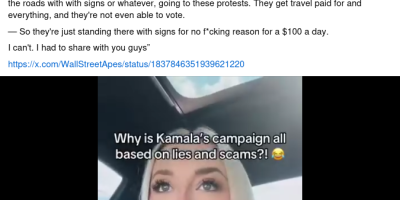 $700 Per Week To Attend Rallies And To Protest