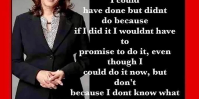 I Promise to Do Everything I Could Have Done but Didn't Do