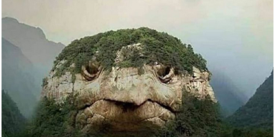 Mountain Resembling Turtle